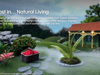 Image - Sims 4 Fairies